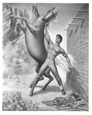 PS0105_Young_Stallion_4bc3866762afc.jpg