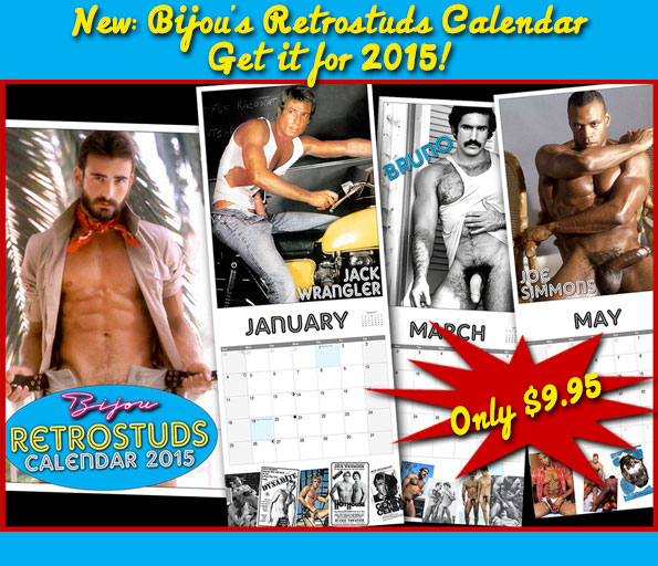 New Bijou Retrostuds 2015 Calendar now available