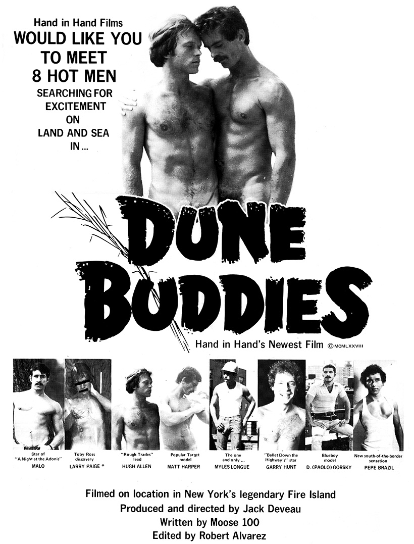 Dune Buddies poster