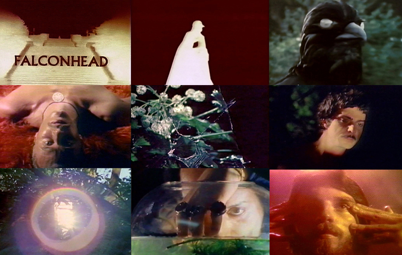 Stills from Falconhead