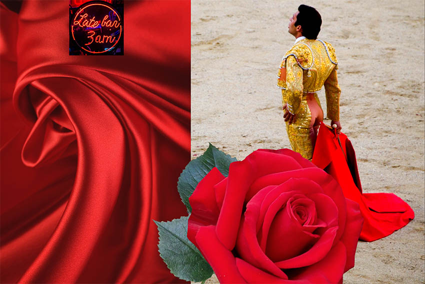 Matador and roses