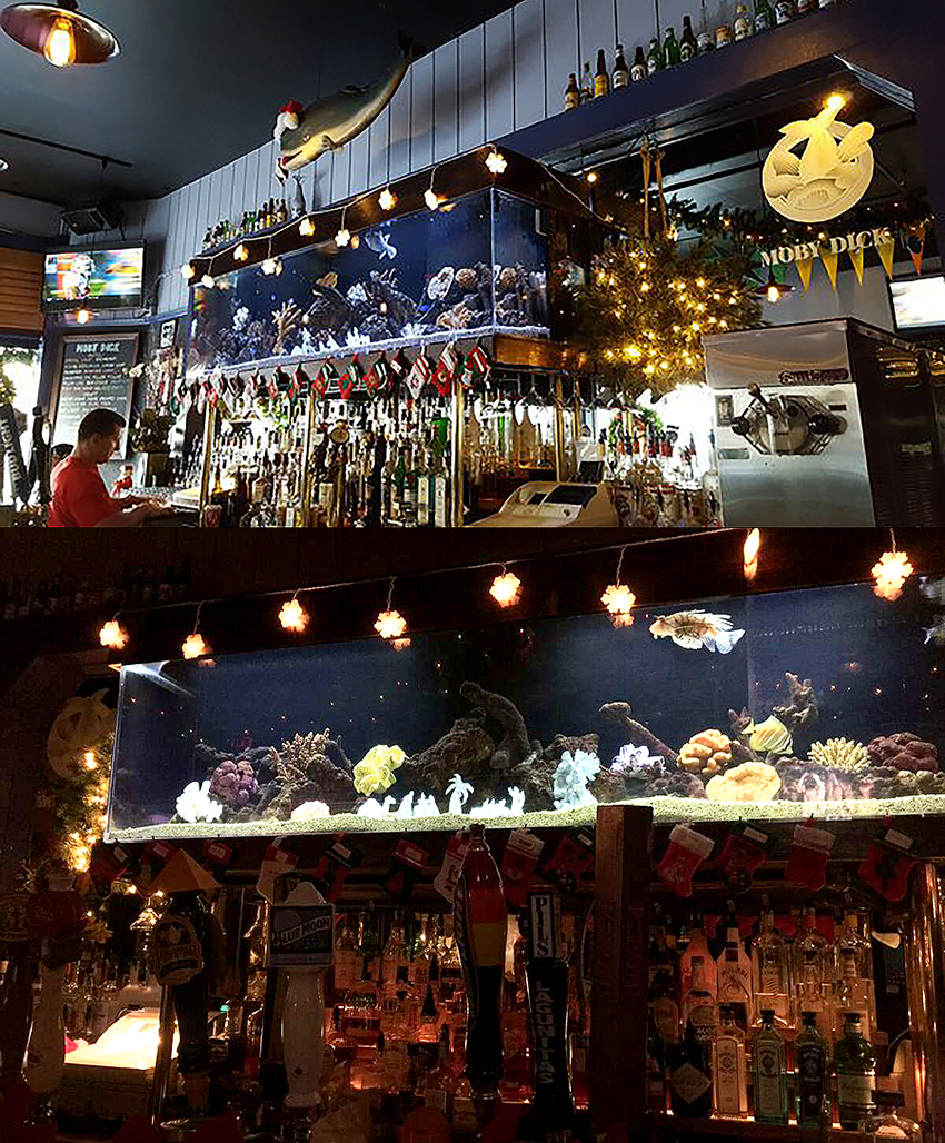 Two views of Moby Dick Bar's aquarium