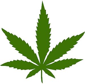 Pot leaf