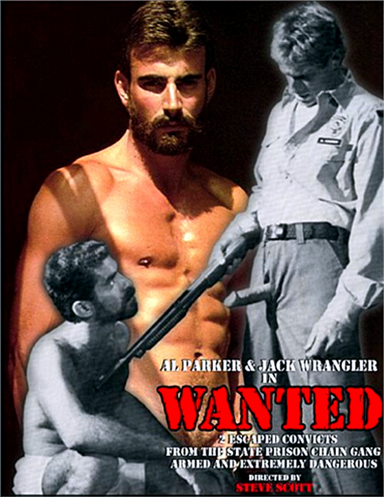 Wanted DVD cover featuring Al Parker and Jack Wrangler