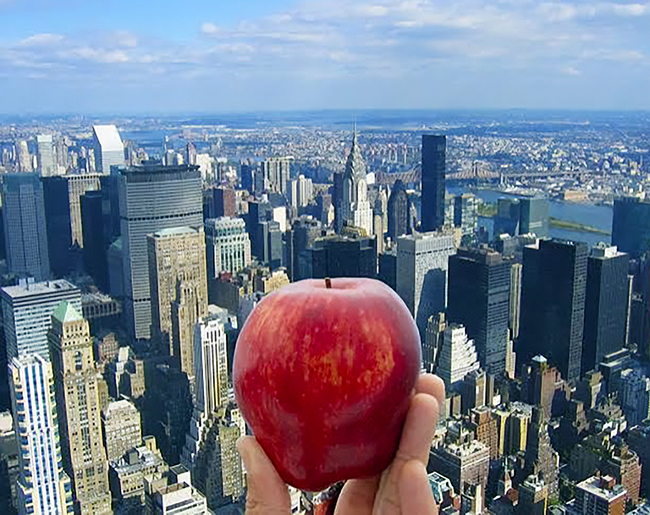 Hand holding an apple in front of skyline of New York Cty