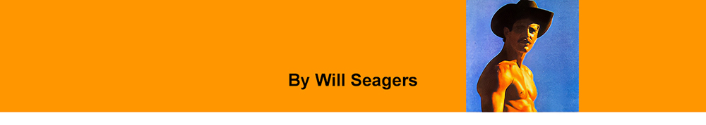 Photo of Will&nbsp;Seagers shirtless in a cowboy hat on orange banner with By Will Seagers