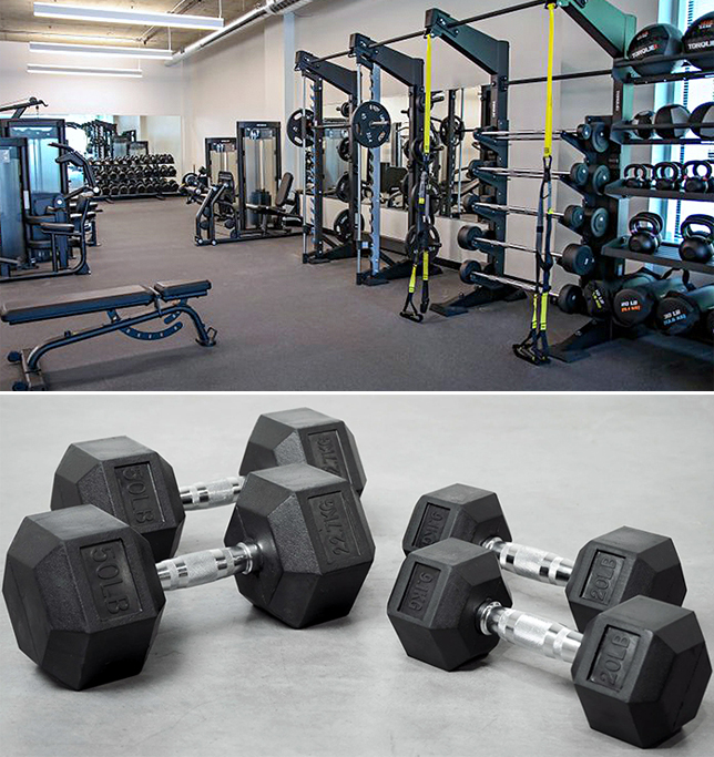 Pair of dumbbells and gym interior with workout machines