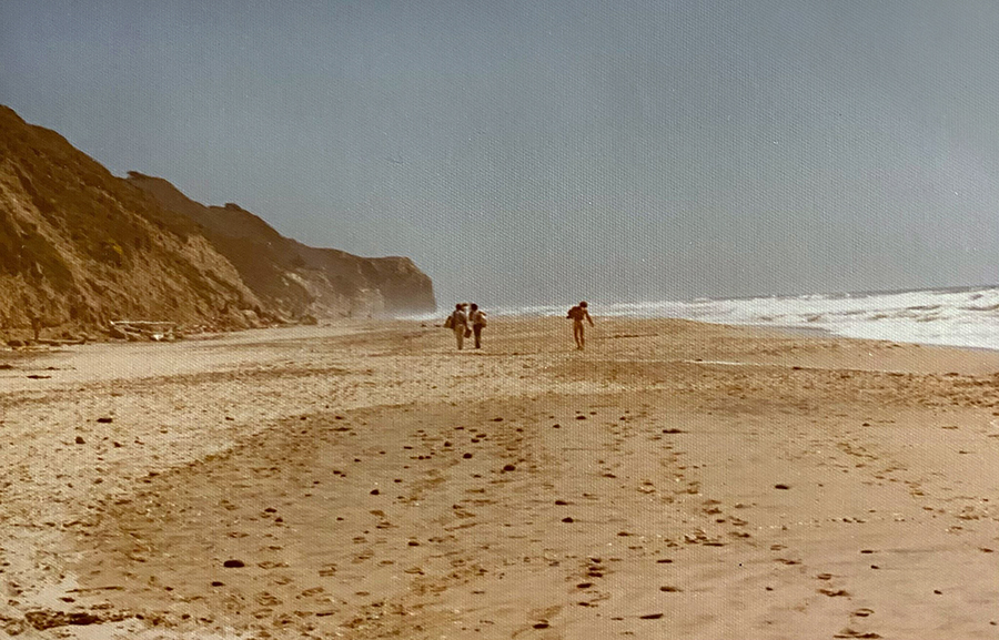 San Gregorio nude beach