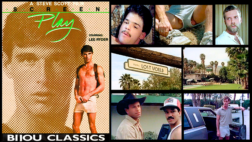 Screenplay's VHS cover, lead actors, Palm Springs shooting location & Lee Ryder's nuts