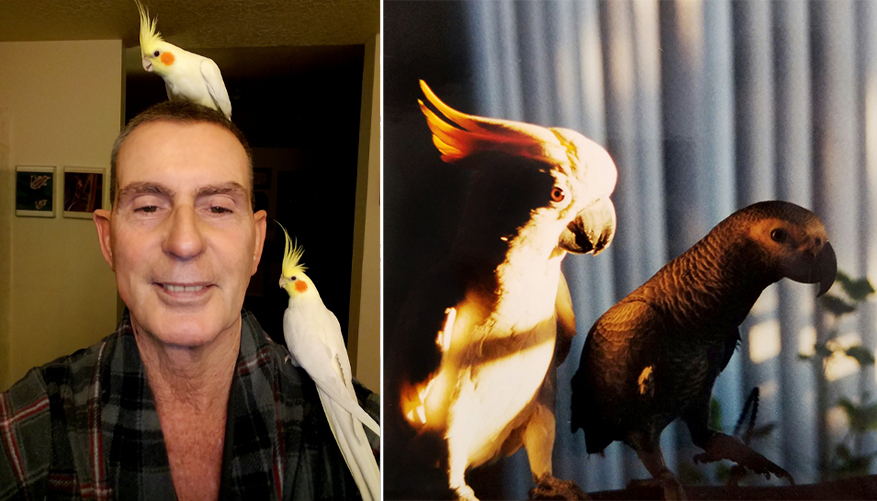 Will with two birds perched on him beside a photo of two birds in dramatic lighting